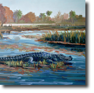 Loxahatchee  Alligator
16 x 20